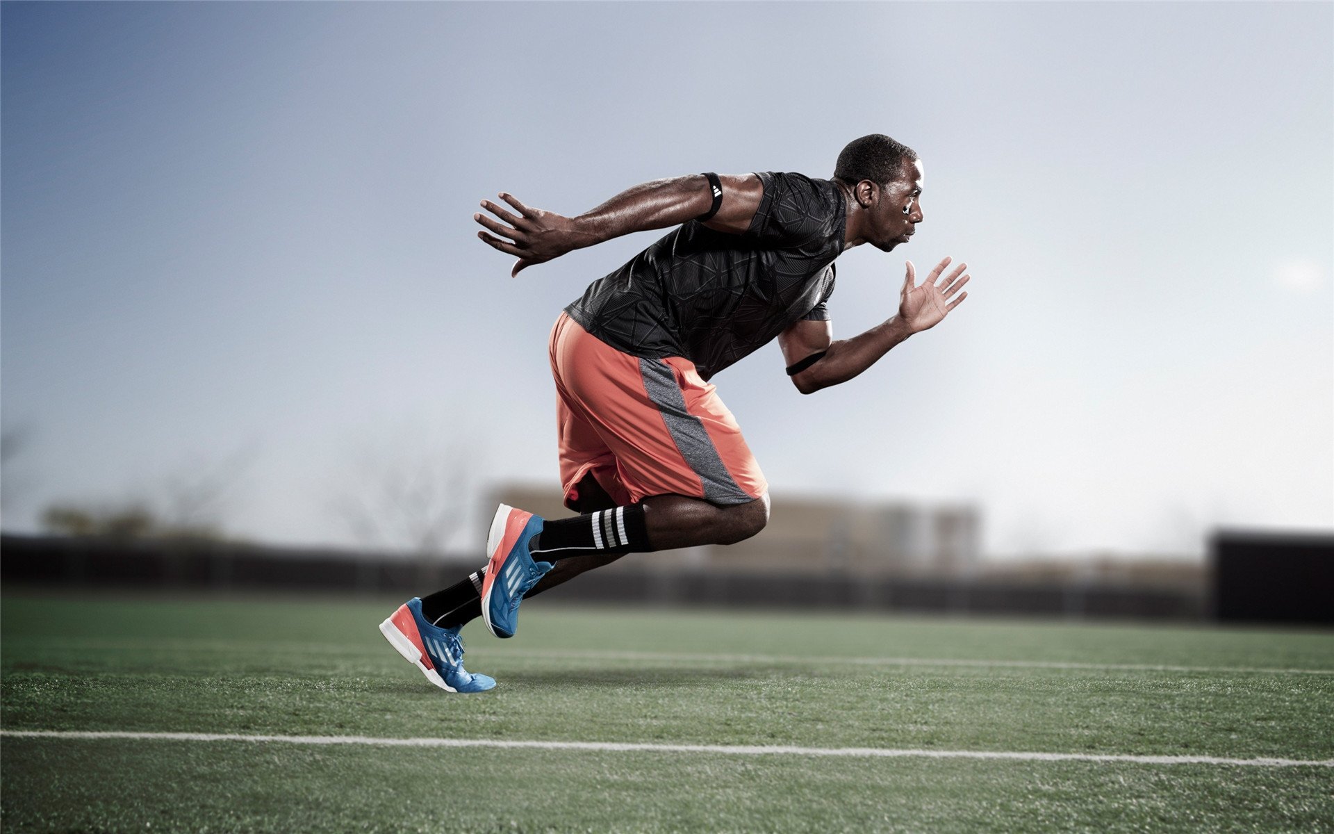 历史题材体育表演，文化时空中的运动魅力，历史体育轶闻趣事